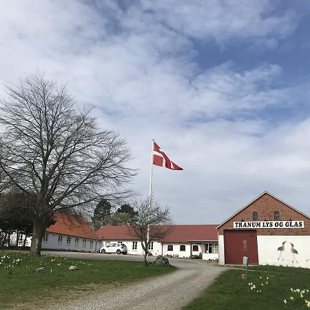Tranum Lys Og Glas Brovst Exterior foto